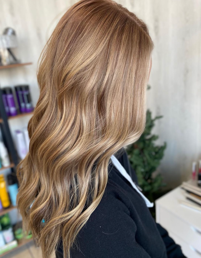 Bronde Hair Stylist Michigan