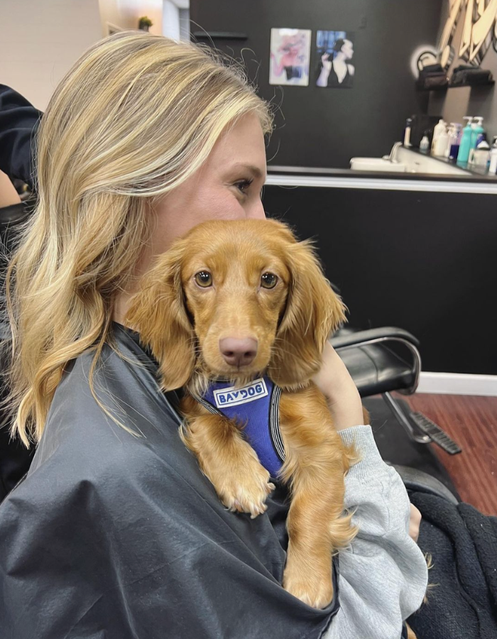 Pet Friendly Salon Michigan